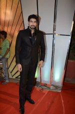 at Zee Awards red carpet in Mumbai on 6th Jan 2013,1 (36).JPG